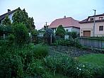 Třibřichy